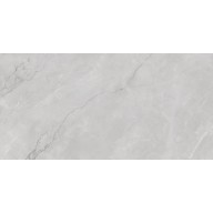 Керамогранит Infinity Ceramica Astonia Silver Glossy Golden Line 60x120