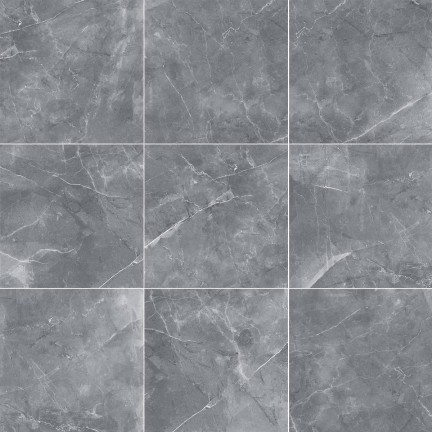 Керамогранит Staro Oasis Armany Pol 60x60 - изображение 2