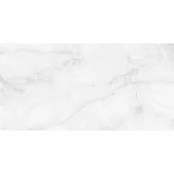 Керамогранит Staro Palacio Antisky Grey Light Pol 60х120