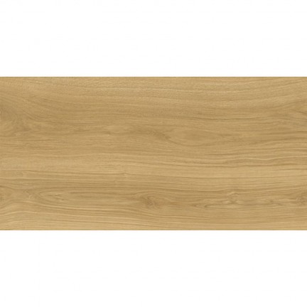 Керамогранит Дориан янтарный LP6012G0821R8 матовый+гл.чернила 59,5х119,1 - изображение 2