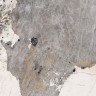 Керамогранит Патагония Про бежевый матовый патинированный R10/A 60х60 - миниатюра 1